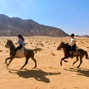 10-daagse paardrijtocht van Petra naar Wadi Rum - Jordanië - Afbeelding 5