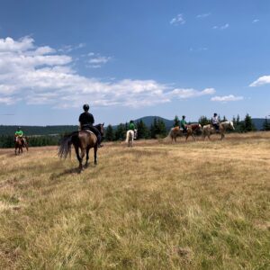 7-daagse paardrijtocht KarabalKan - Bulgarije - Afbeelding 13