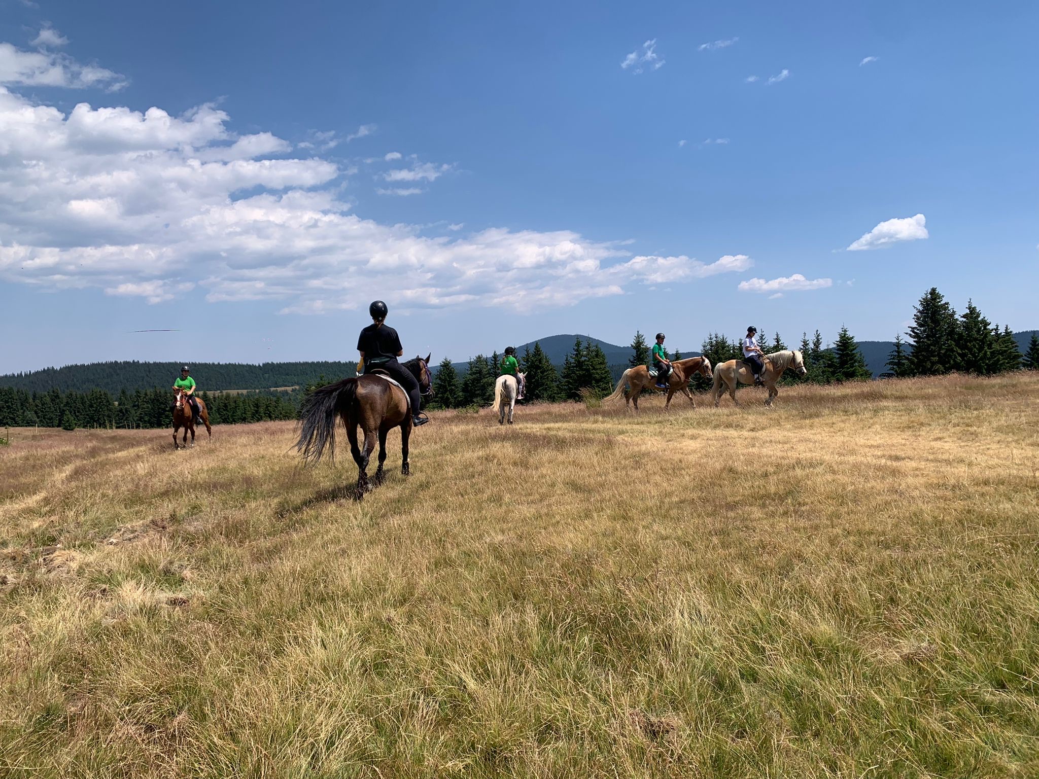 7-daagse paardrijtocht KarabalKan - Bulgarije - Afbeelding 13