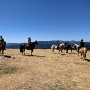 8-daagse paardrijtocht Thracië-tour - Bulgarije