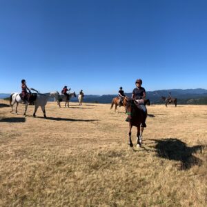 6-daagse paardrijtocht naar de top van het Rhodopegebergte - Bulgarije - Afbeelding 16