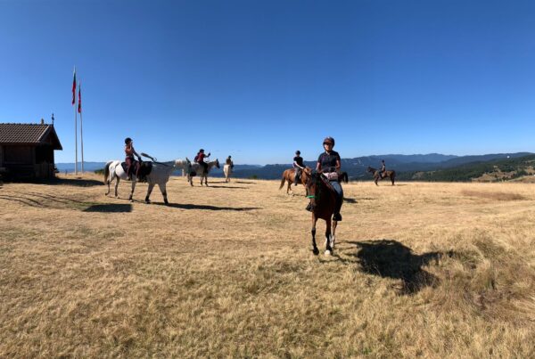 6-daagse paardrijtocht naar de top van het Rhodopegebergte - Bulgarije