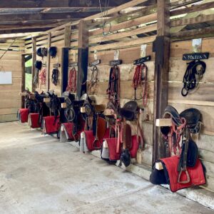 10-daagse Paardrijdtocht van berglandschappen naar de Pacifische kust - Costa Rica - Afbeelding 7