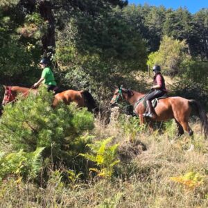 8-daagse paardrijtocht Thracië-tour - Bulgarije - Afbeelding 15