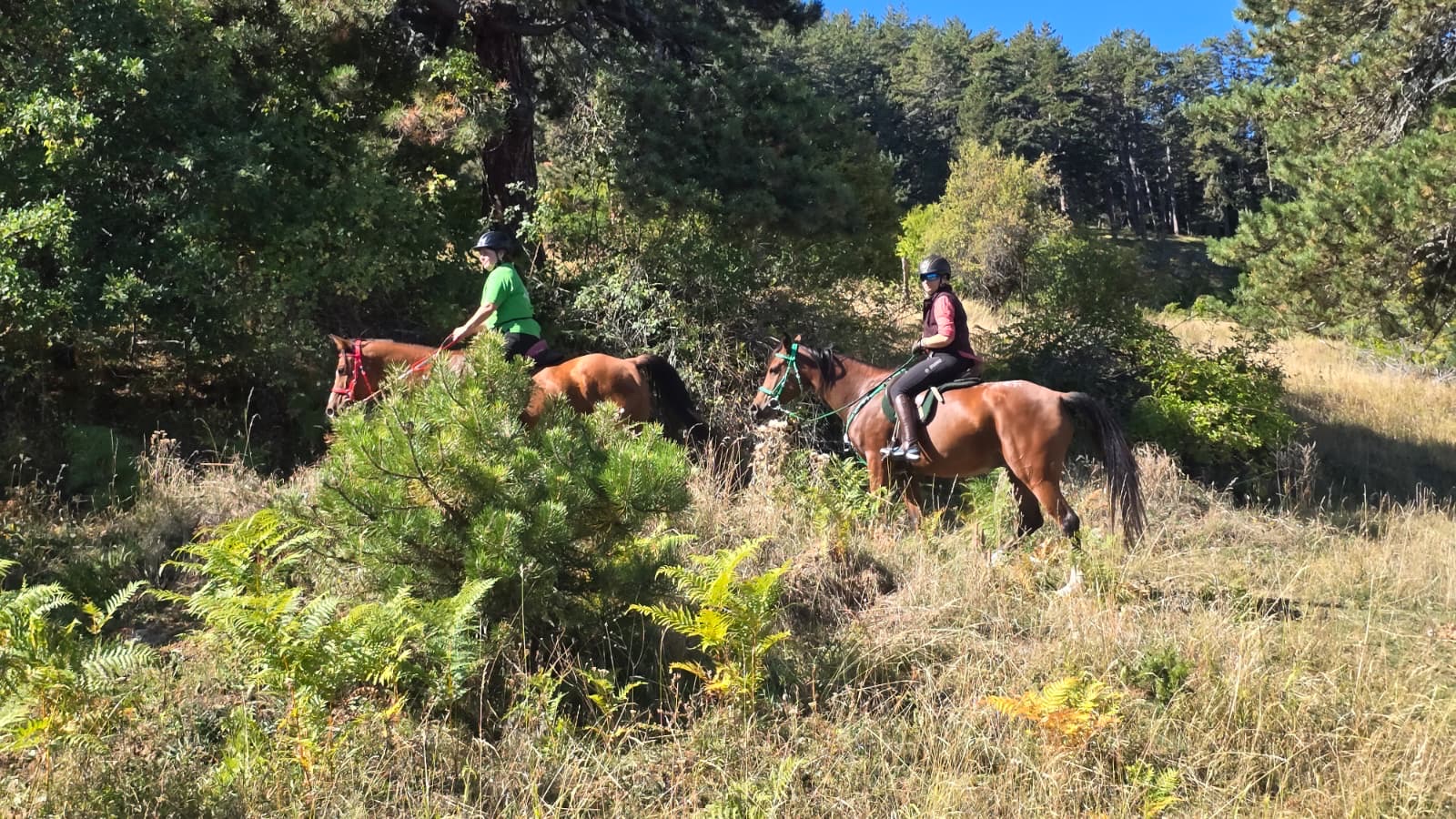 8-daagse paardrijtocht Thracië-tour - Bulgarije - Afbeelding 15