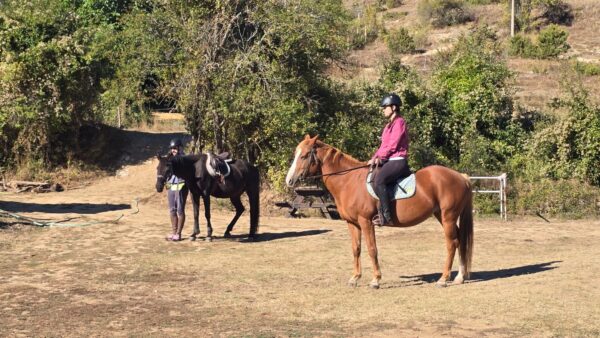 7-daagse paardrijtocht KarabalKan - Bulgarije