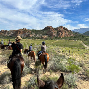 4-daagse paardrijtocht Swartberg Mountains - Klein Karoo - Afbeelding 3
