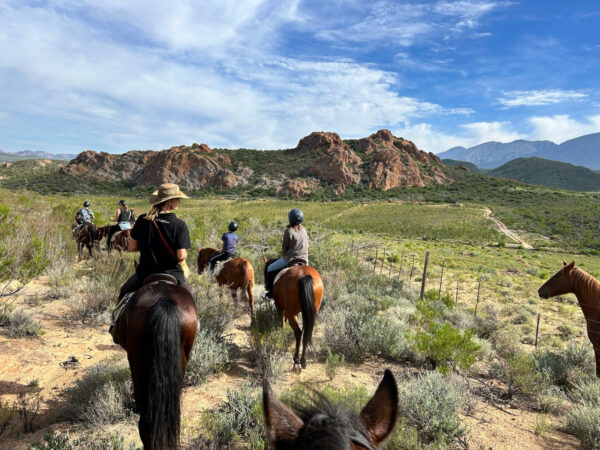 4-daagse paardrijtocht Swartberg Mountains - Klein Karoo
