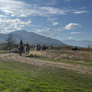 6-daagse paardrijtocht naar de top van het Rhodopegebergte - Bulgarije - Afbeelding 15