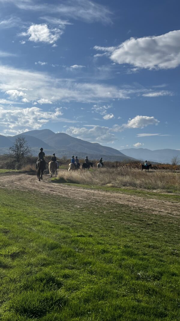 6-daagse paardrijtocht naar de top van het Rhodopegebergte - Bulgarije