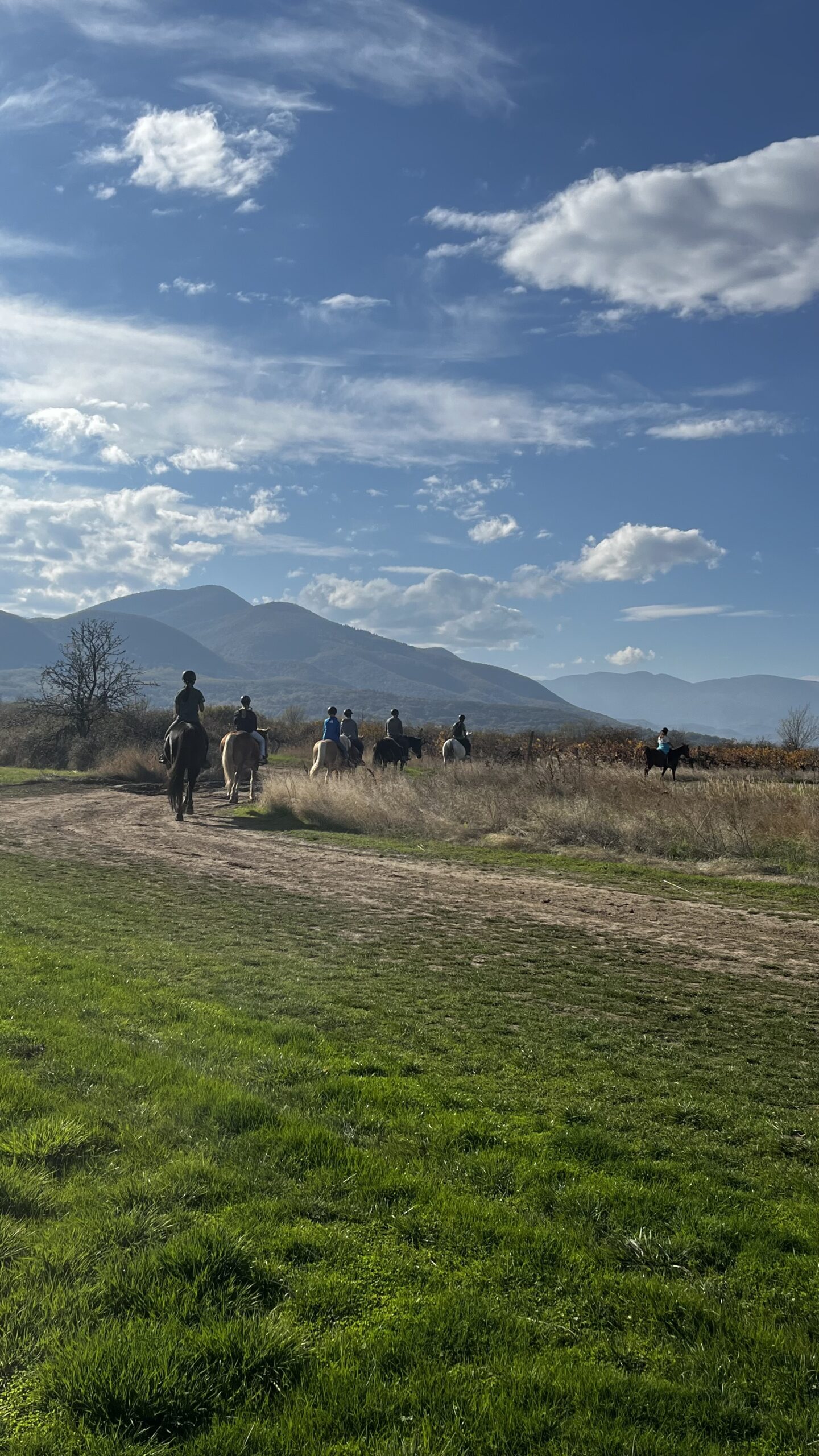 6-daagse paardrijtocht naar de top van het Rhodopegebergte - Bulgarije - Afbeelding 15