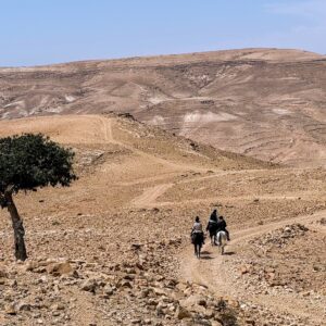 10-daagse paardrijtocht van Petra naar Wadi Rum - Jordanië - Afbeelding 20