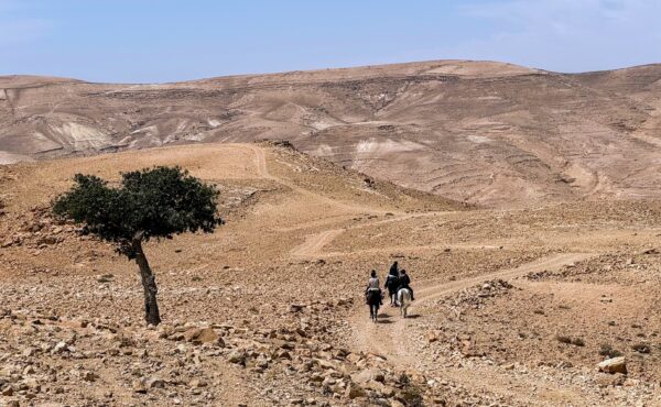10-daagse paardrijtocht van Petra naar Wadi Rum - Jordanië