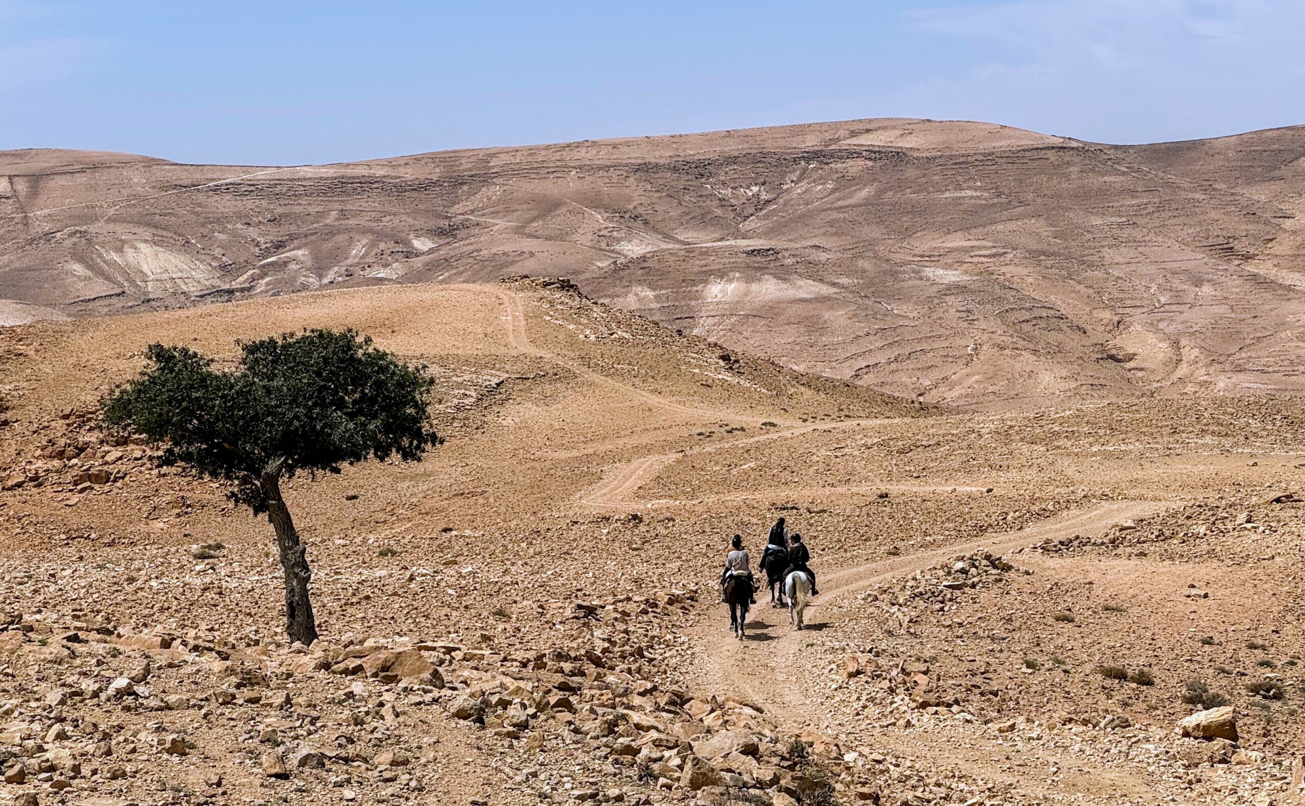 10-daagse paardrijtocht van Petra naar Wadi Rum - Jordanië - Afbeelding 20
