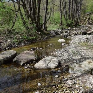 7-daagse paardrijtocht KarabalKan - Bulgarije - Afbeelding 11