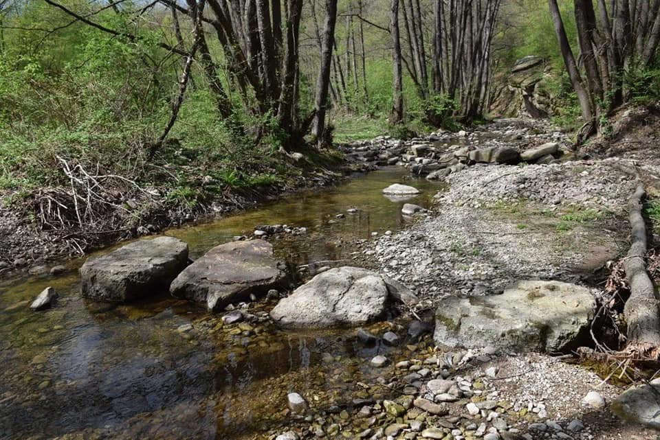 7-daagse paardrijtocht KarabalKan - Bulgarije - Afbeelding 11