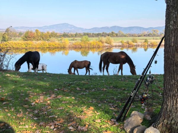 8-daagse paardrijtocht Thracië-tour - Bulgarije