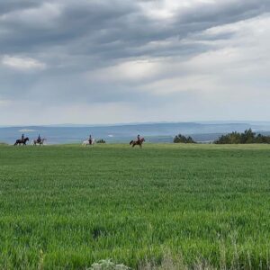 6-daagse paardrijtocht naar de top van het Rhodopegebergte - Bulgarije - Afbeelding 10