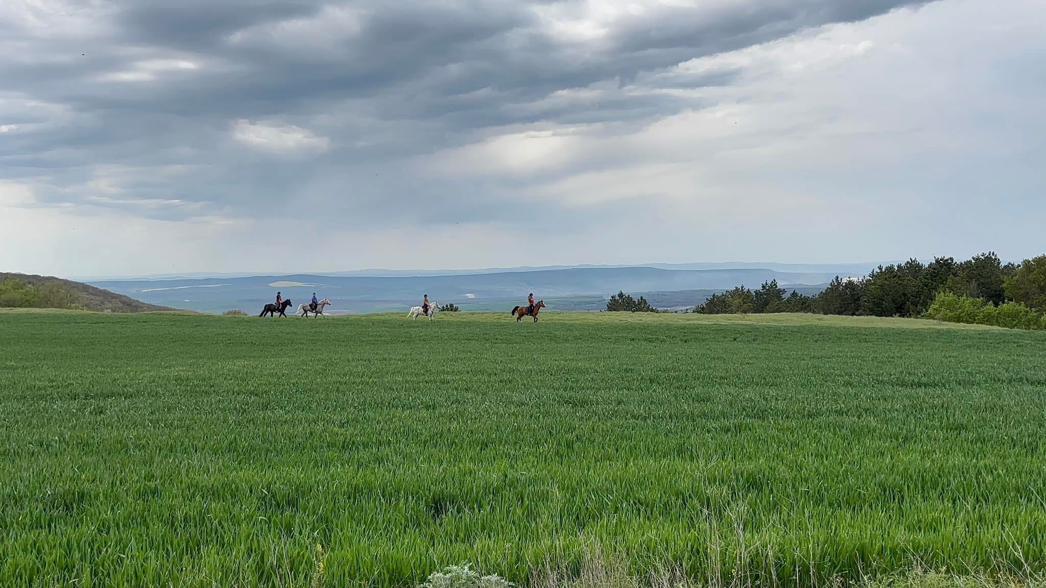 6-daagse paardrijtocht naar de top van het Rhodopegebergte - Bulgarije - Afbeelding 10