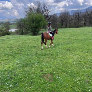 7-daagse paardrijtocht KarabalKan - Bulgarije - Afbeelding 8