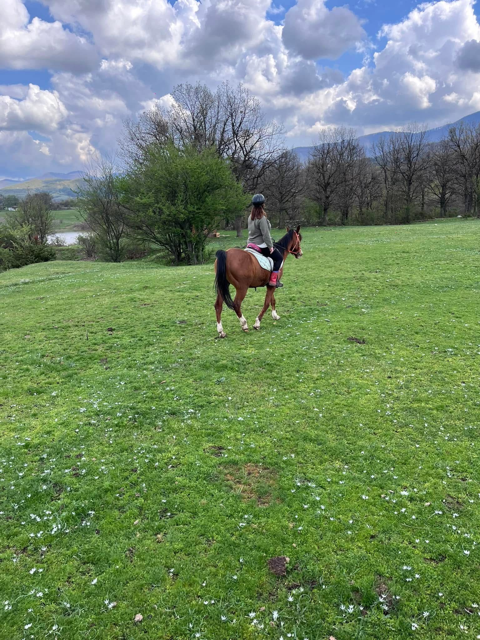 7-daagse paardrijtocht KarabalKan - Bulgarije