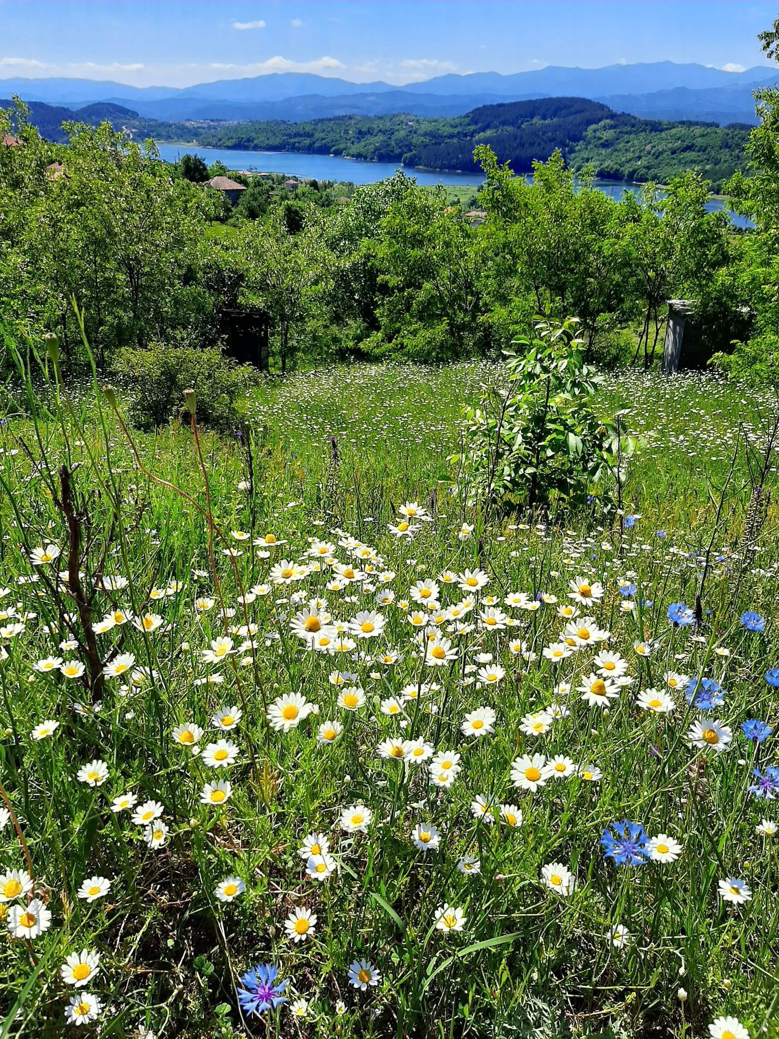 8-daagse paardrijtocht Thracië-tour - Bulgarije