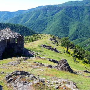 6-daagse paardrijtocht naar de top van het Rhodopegebergte - Bulgarije - Afbeelding 13