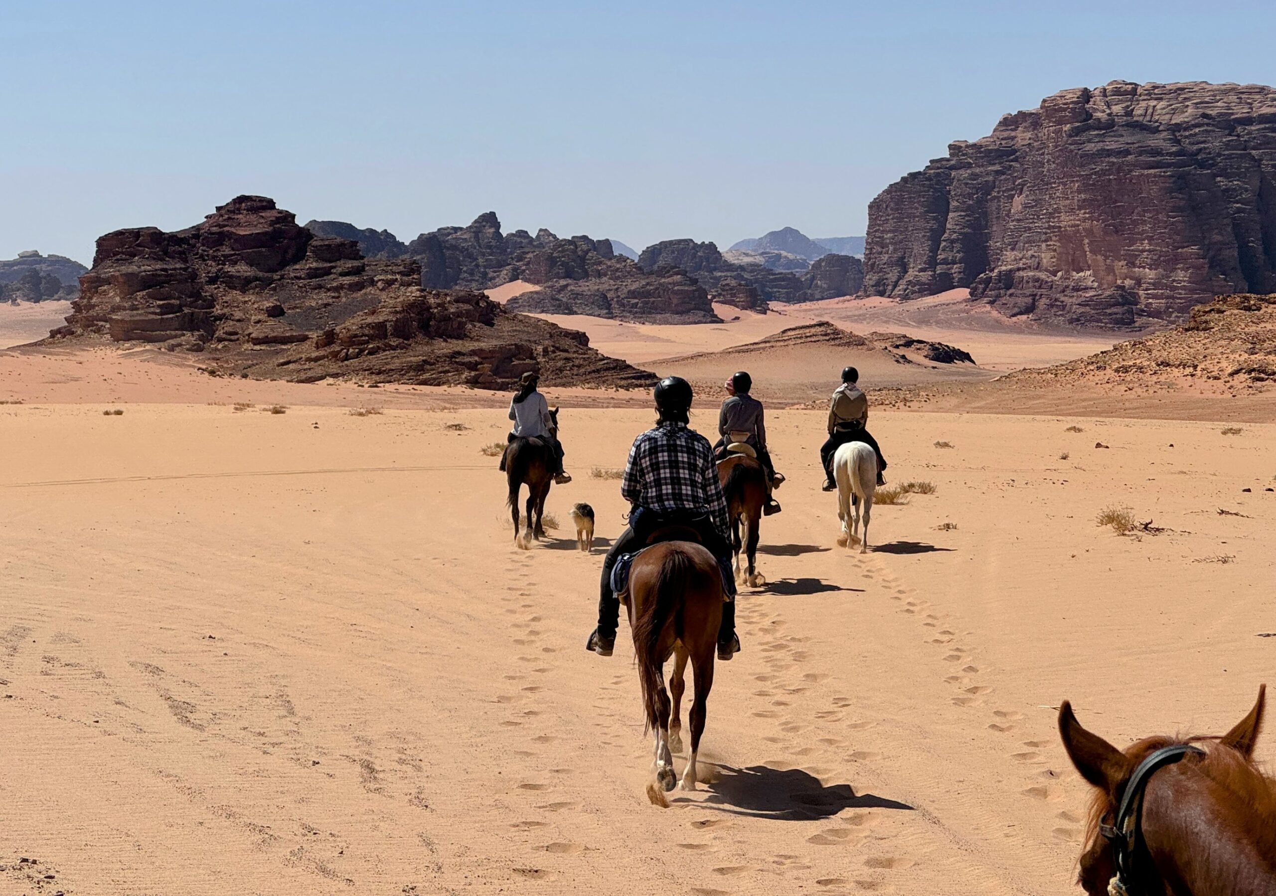 10-daagse paardrijtocht door Wadi Rum - Jordanië - Afbeelding 19
