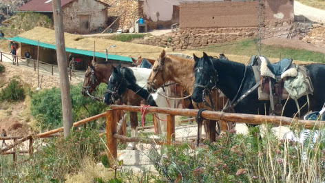 4-daagse paardrijtocht Chinchero - Peru