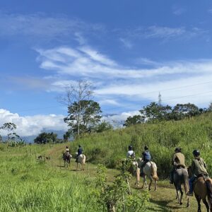 8-daagse Paardrijdtocht bergen, vulkanen, regenwoud - Costa Rica - Afbeelding 5