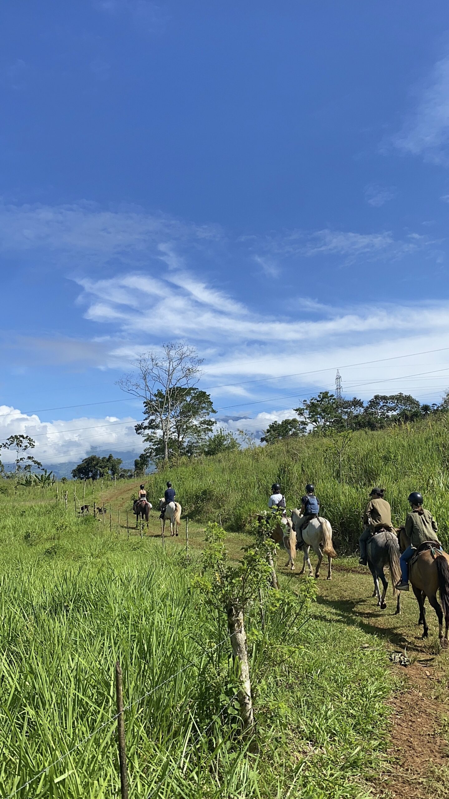 8-daagse Paardrijdtocht bergen, vulkanen, regenwoud - Costa Rica - Afbeelding 5