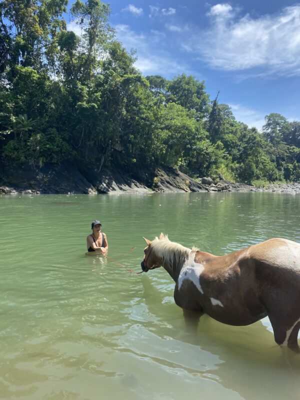 10-daagse Paardrijdtocht van berglandschappen naar de Pacifische kust - Costa Rica