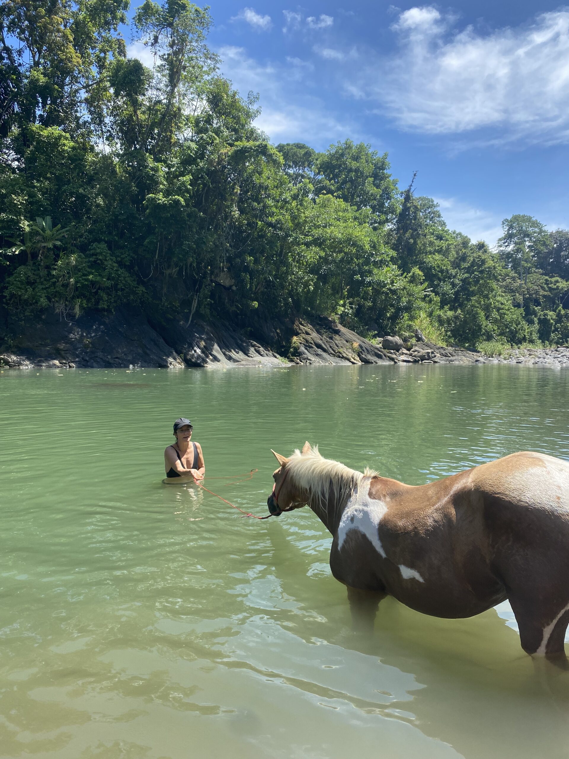 10-daagse Paardrijdtocht van berglandschappen naar de Pacifische kust - Costa Rica - Afbeelding 6