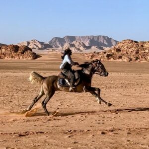 10-daagse paardrijtocht door Wadi Rum - Jordanië - Afbeelding 16