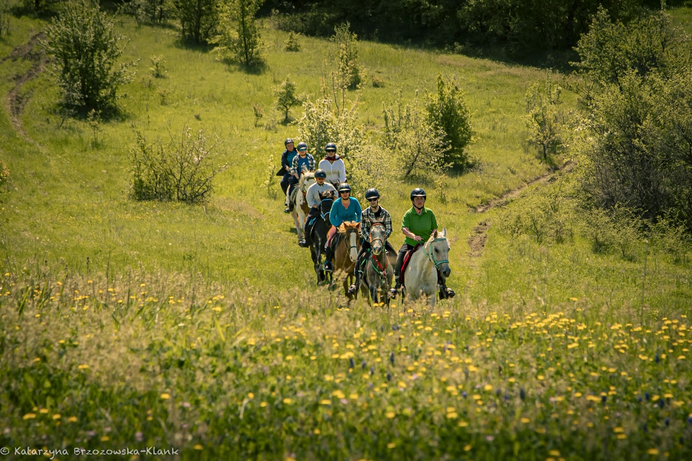 8-daagse paardrijtocht Thracië-tour - Bulgarije - Afbeelding 19