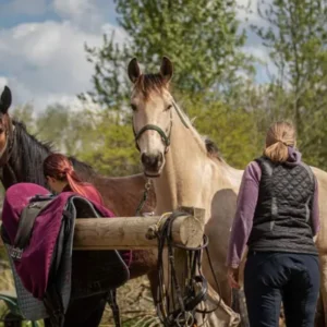 Paardrijkamp met je eigen paard voor jongeren in Westerveld Drenthe - Nederland - Afbeelding 6