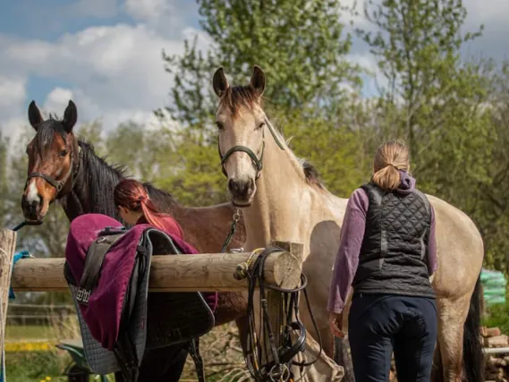 Paardrijkamp met je eigen paard voor jongeren in Westerveld Drenthe - Nederland