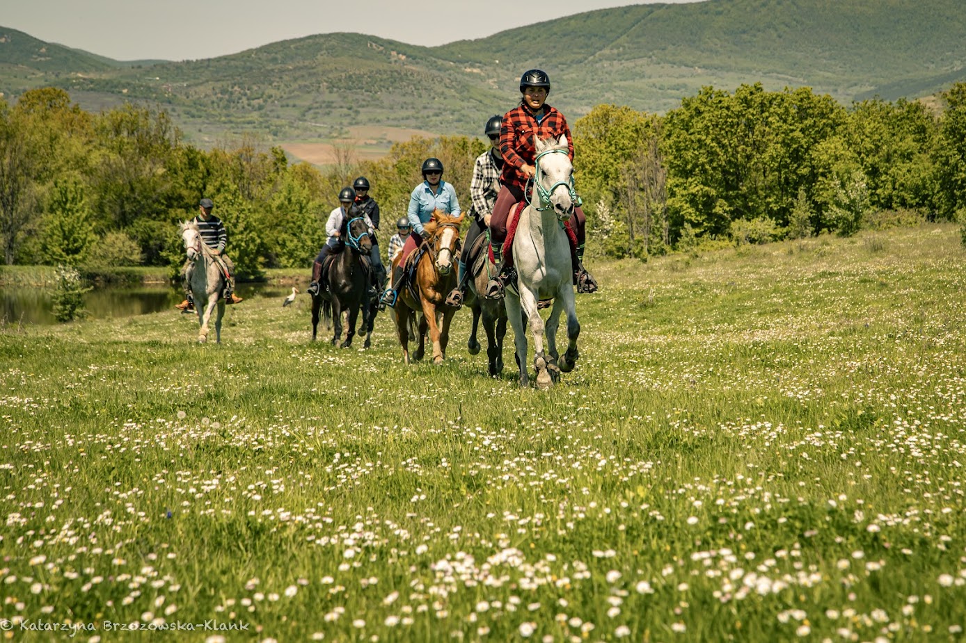 8-daagse paardrijtocht Thracië-tour - Bulgarije - Afbeelding 13
