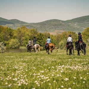 8-daagse paardrijtocht Thracië-tour - Bulgarije - Afbeelding 10
