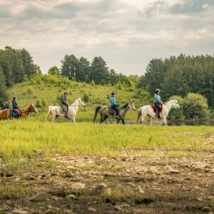 8-daagse paardrijtocht Thracië-tour - Bulgarije - Afbeelding 5
