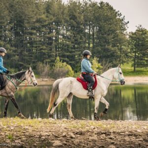 8-daagse paardrijtocht Thracië-tour - Bulgarije - Afbeelding 25