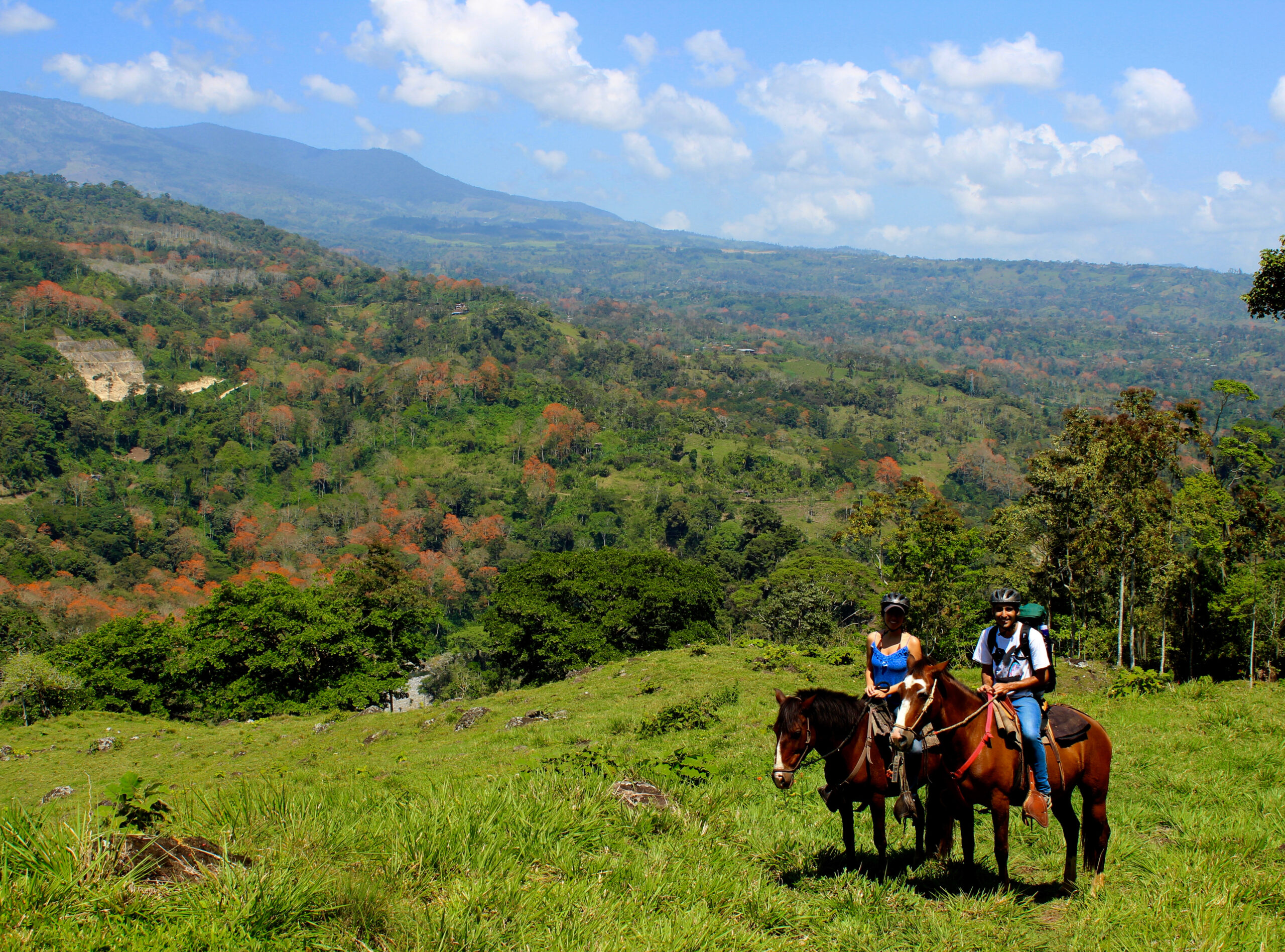 10-daagse Paardrijdtocht van berglandschappen naar de Pacifische kust - Costa Rica - Afbeelding 1