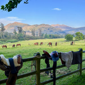 4-daagse paardrijtocht Swartberg Mountains - Klein Karoo - Afbeelding 4
