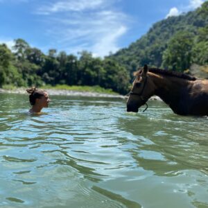 8-daagse Paardrijdtocht bergen, vulkanen, regenwoud - Costa Rica - Afbeelding 4