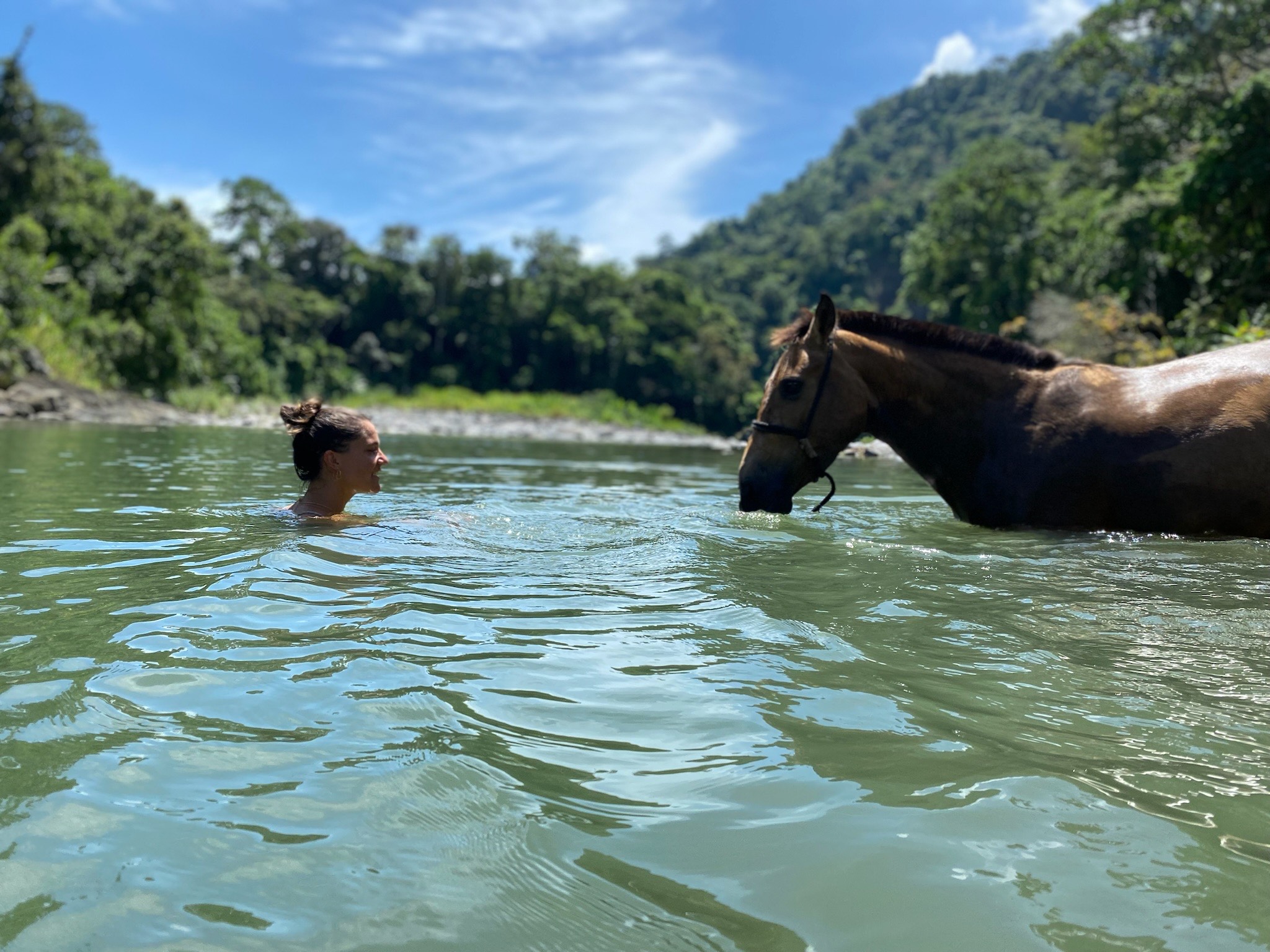 8-daagse Paardrijdtocht bergen, vulkanen, regenwoud - Costa Rica - Afbeelding 4