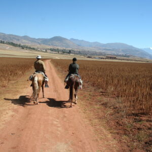 3-daagse paardrijtocht Valley View Point - Peru - Afbeelding 3