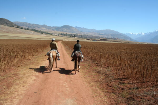 3-daagse paardrijtocht Valley View Point - Peru