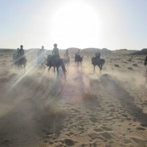 10-daagse paardrijtocht door Wadi Rum - Jordanië - Afbeelding 4