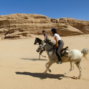 10-daagse paardrijtocht door Wadi Rum - Jordanië - Afbeelding 3