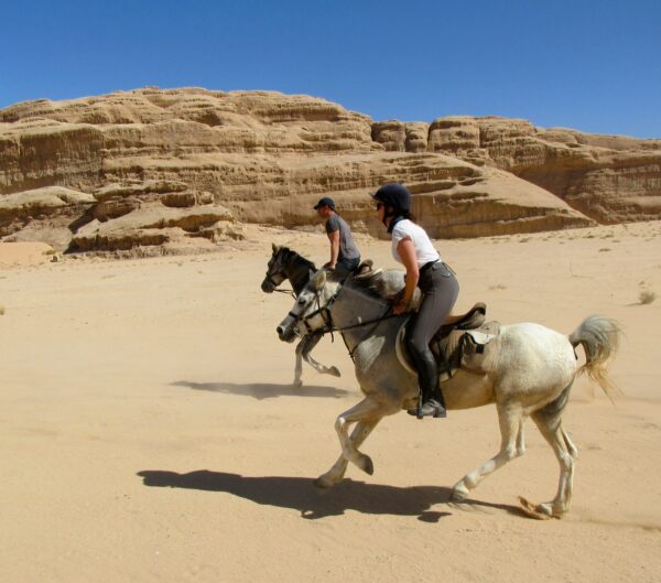 10-daagse paardrijtocht door Wadi Rum - Jordanië